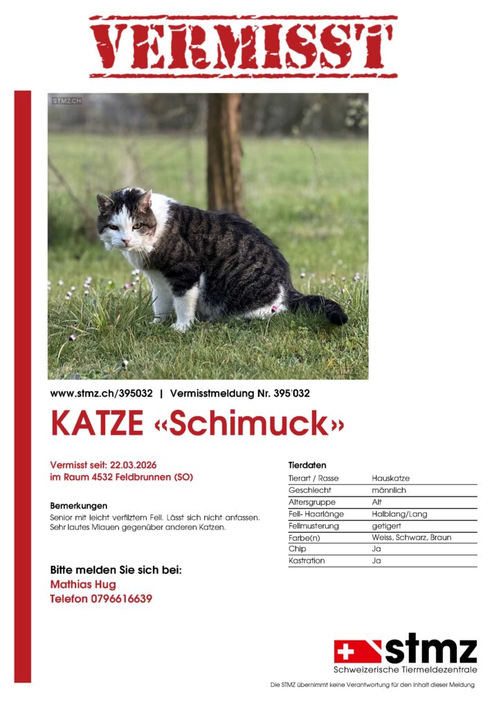 Katze vermisst